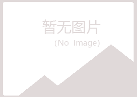 五大连池迎夏咨询有限公司